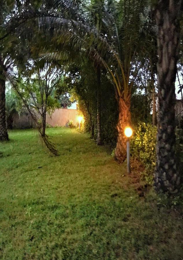 Twitter Paradise Ampeni Luaran gambar