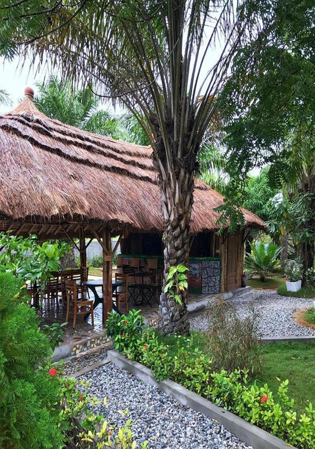 Twitter Paradise Ampeni Luaran gambar