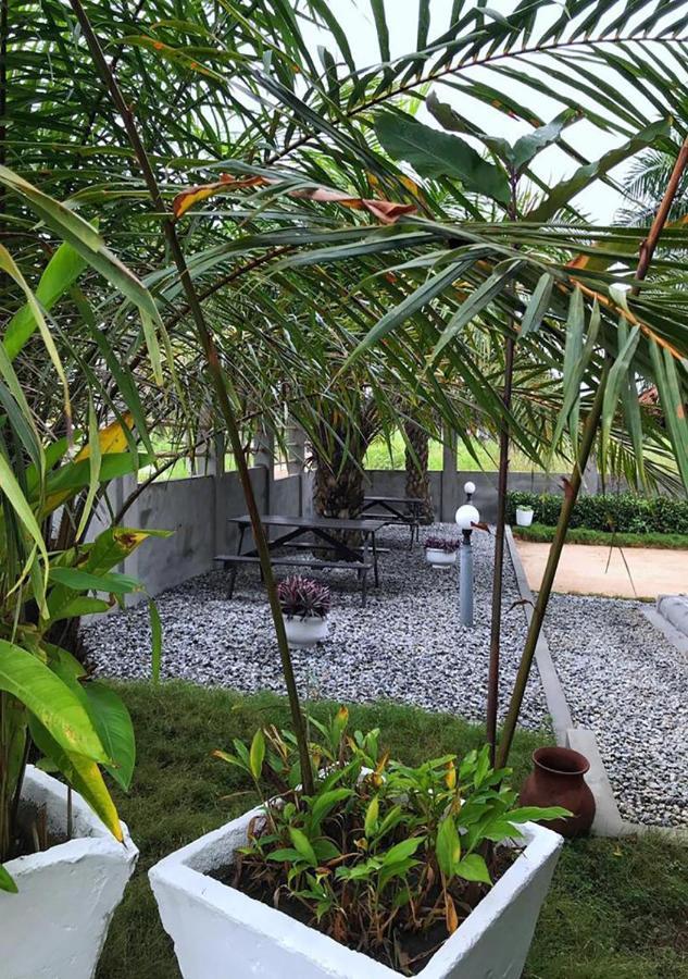 Twitter Paradise Ampeni Luaran gambar