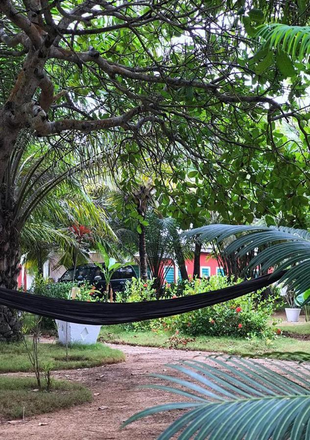 Twitter Paradise Ampeni Luaran gambar