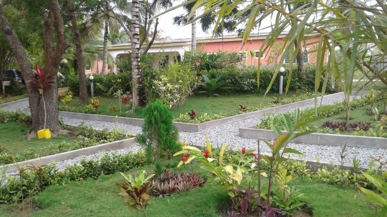 Twitter Paradise Ampeni Luaran gambar